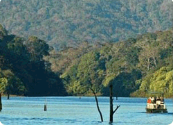 Honeymoon in Periyar